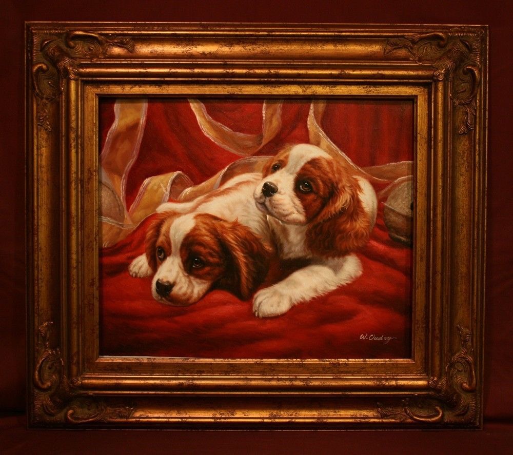 Beautiful-Blenheim-Cavalier-King-Charles-Spaniel-Pups-Oil