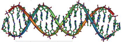 dna