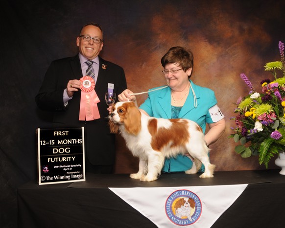 Futurity2014Boo