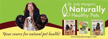 Best dog food for cavaliers shop
